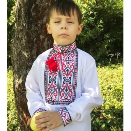 Вишиванка на хлопчика Йосип з червоно-чорною вишивкою 
