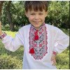 Вишиванка на хлопчика Максим з червоно-чорною вишивкою 